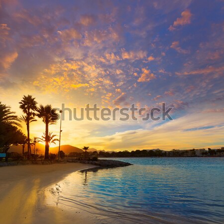 Alcudia Majorca at sunset on the beach Mallorca Stock photo © lunamarina