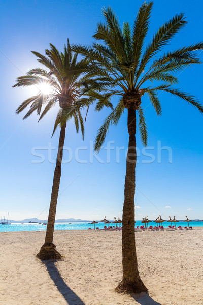 Platja de Alcudia beach in Mallorca Majorca Stock photo © lunamarina