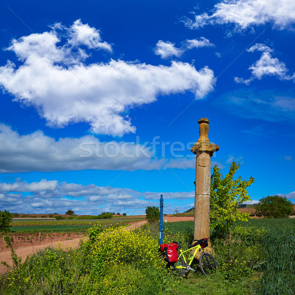Azofra Saint James Way cross column La Rioja Stock photo © lunamarina