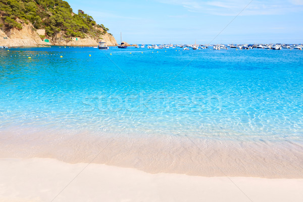 Badia de Tamariu beach in Costa Brava Parafrugell  Stock photo © lunamarina