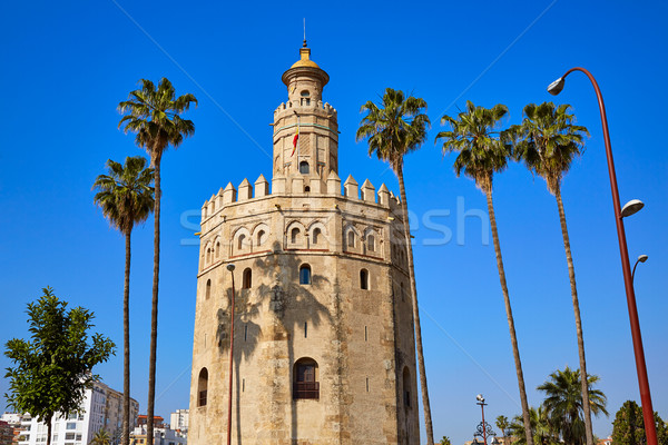 Seville Torre del Oro tower in Sevilla Spain Stock photo © lunamarina