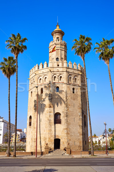 Seville Torre del Oro tower in Sevilla Spain Stock photo © lunamarina