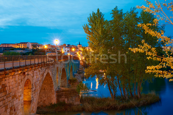 Zamora Puente de Piedra bridge on Duero Stock photo © lunamarina