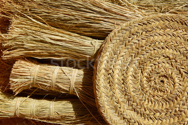 Esparto halfah grass used for crafts basketry Stock photo © lunamarina