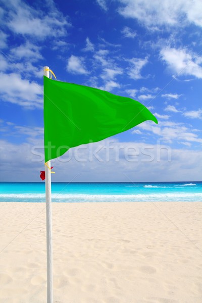 海灘 綠色 旗 好 天氣 風 商業照片 © lunamarina