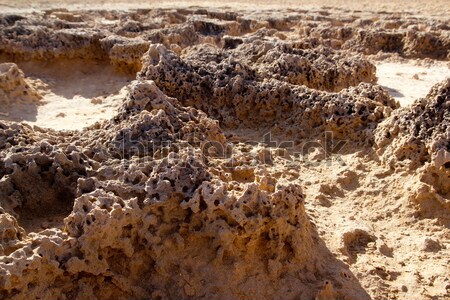 Kan kalksteen zandsteen verweerde detail water Stockfoto © lunamarina