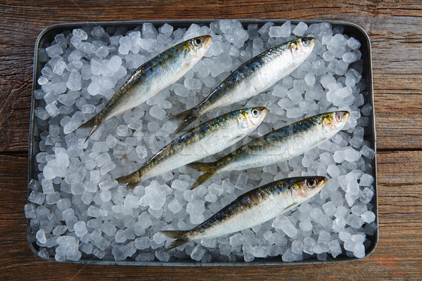 Sardines fresh fishes on ice Stock photo © lunamarina