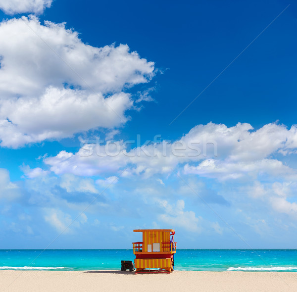 Foto d'archivio: Miami · spiaggia · torre · meridionale · Florida · USA