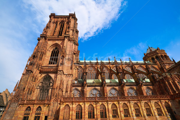 Notre Dame Cathedral in Strasbourg France Stock photo © lunamarina