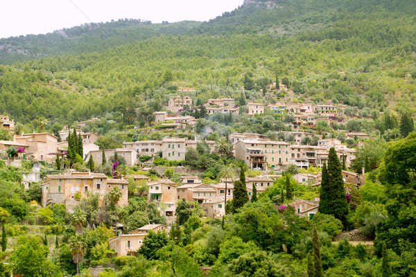 Deia typical stone village in Majorca Tramuntana Stock photo © lunamarina