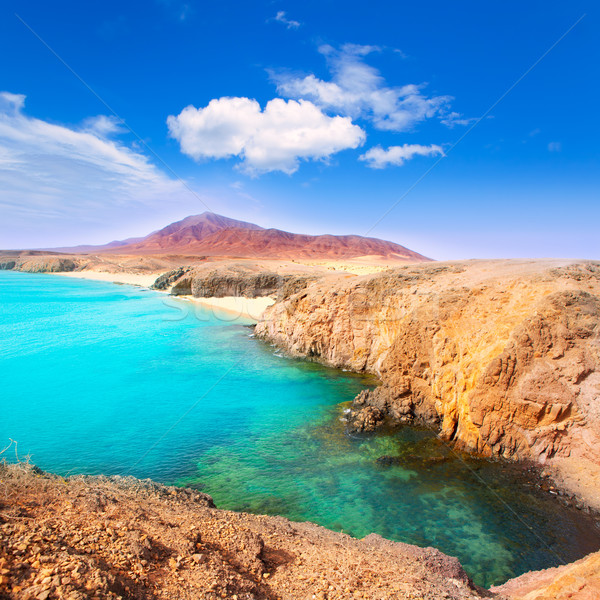 Lanzarote Playa del Pozo beach costa Papagayo Stock photo © lunamarina