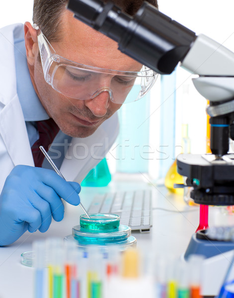 laboratory scientist working at lab with test tubes Stock photo © lunamarina