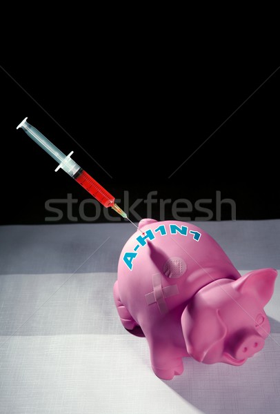 Pig  influenza flu Injection, A h1n1 vaccine Stock photo © lunamarina