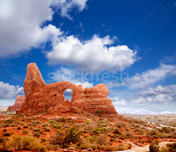 Arches National Park Turret Arch in Utah USA Stock photo © lunamarina