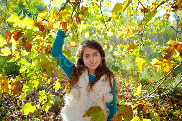 [[stock_photo]]: Automne · Kid · fille · automne · forêt