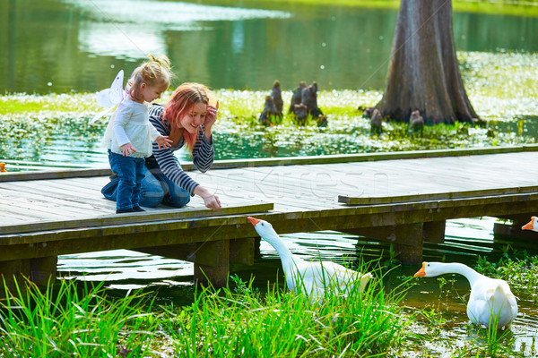 Kid girl and mother playing with ducks in lake  Stock photo © lunamarina