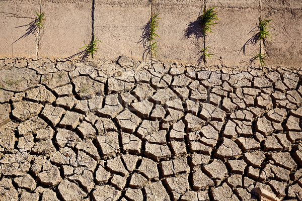 乾燥 灌溉 粘土 土壤 領域 米 商業照片 © lunamarina