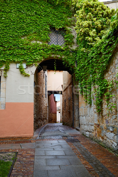 Zamora Calle Troncoso street arch Spain Stock photo © lunamarina