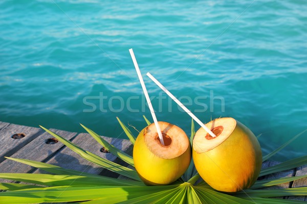 Сток-фото: коктейль · пальма · лист · Карибы · тропические