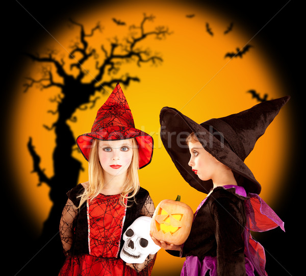 Halloween çocuklar kızlar ağaç iki parti Stok fotoğraf © lunamarina