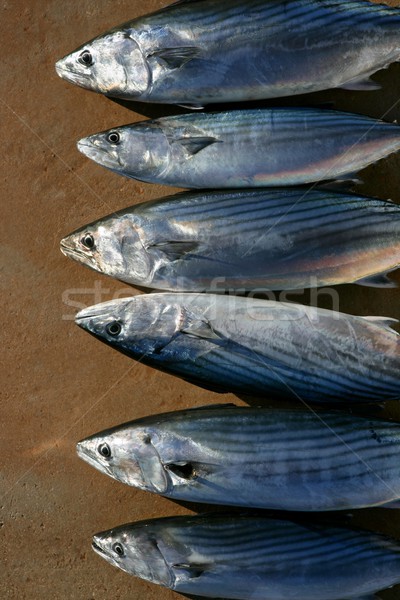 Atún frescos peces ojo mar Foto stock © lunamarina