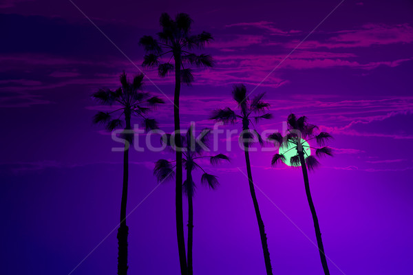 California high palm trees sunset sky silohuette Stock photo © lunamarina