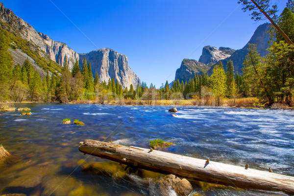 Yosemite Merced River el Capitan and Half Dome Stock photo © lunamarina