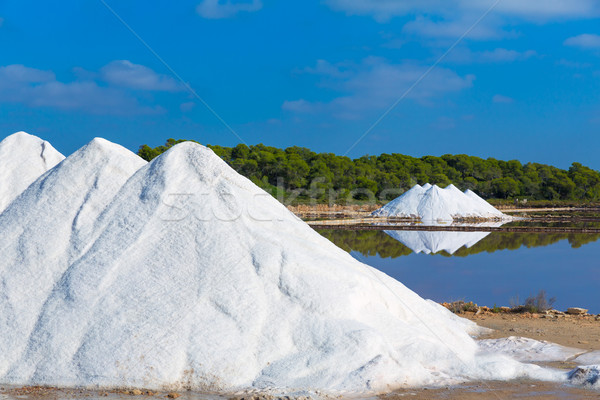 Mallorca Ses Salines Es Trenc Estrenc saltworks Stock photo © lunamarina