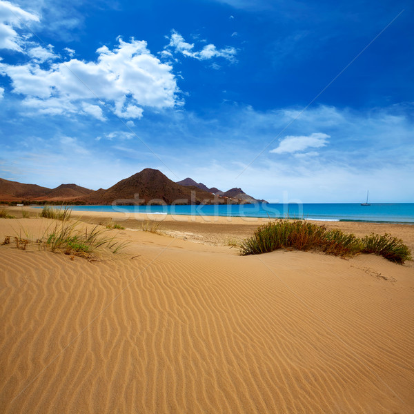 Almeria Playa Genoveses beach Cabo de Gata Stock photo © lunamarina