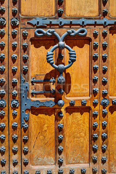 Casa de los Condestables door house in Burgos Stock photo © lunamarina