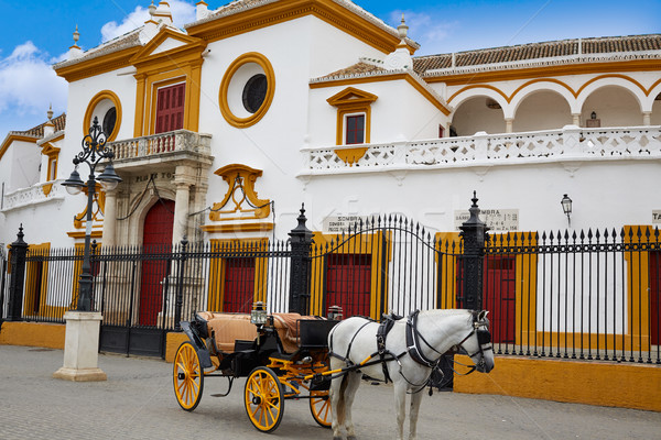 Seville Real Maestranza bullring plaza toros Stock photo © lunamarina