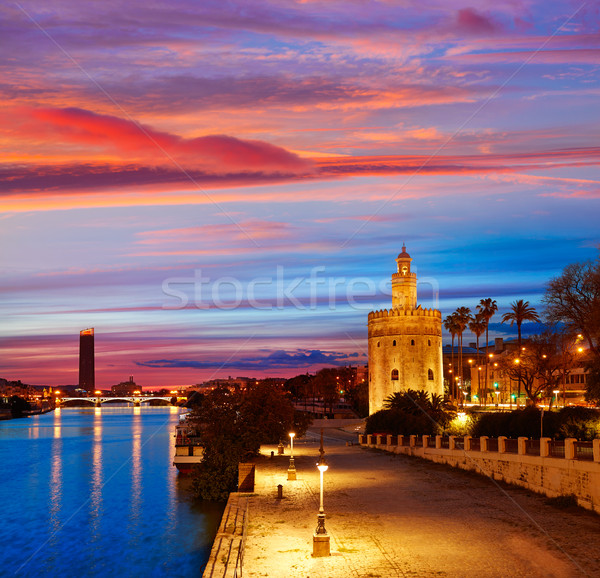 Seville sunset skyline torre del Oro in Sevilla Stock photo © lunamarina