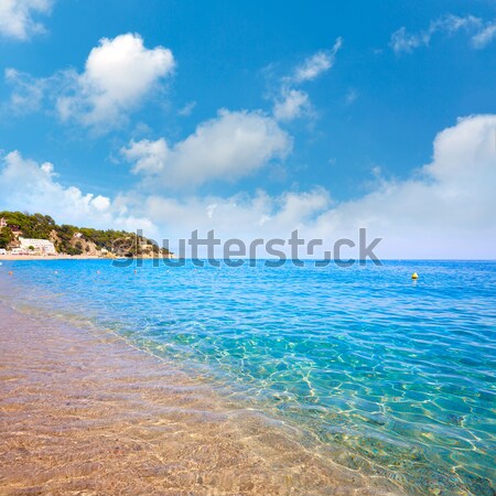 Alcudia in Mallorca la Victoria turquoise beach Stock photo © lunamarina