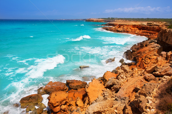 Cala Saona coast with turquoise rough Mediterranean Stock photo © lunamarina