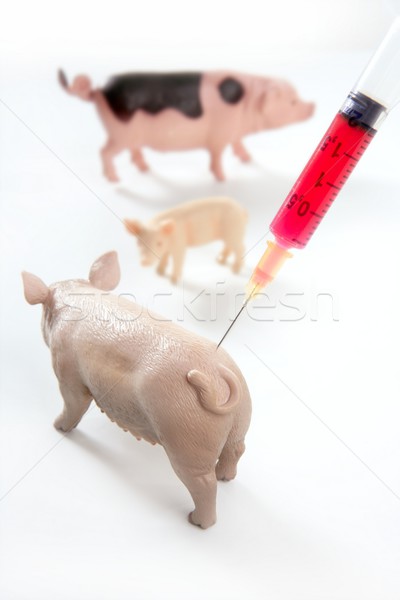 Sertés influenza h1n1 vakcina metafora játék Stock fotó © lunamarina