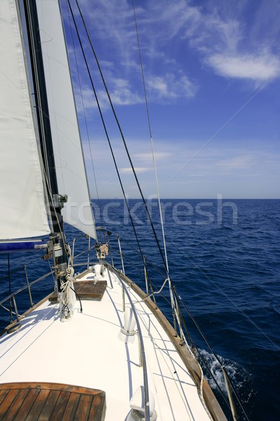 Zeilboot zeilen Blauw zee zonnige zomer Stockfoto © lunamarina