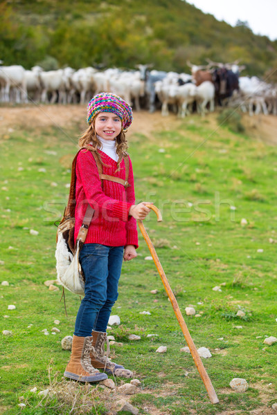 Kid girl shepherdess happy with flock of sheep and stick Stock photo © lunamarina