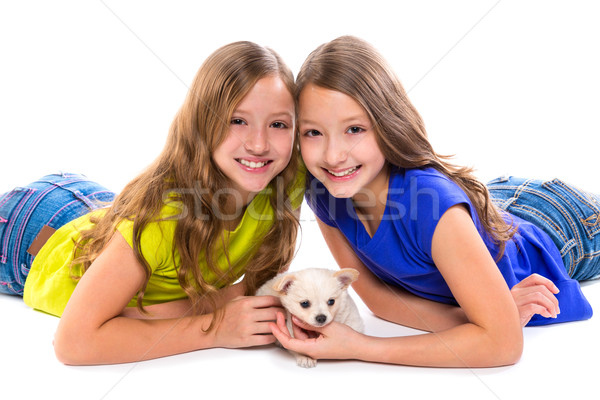 happy twin sister kid girls and puppy dog lying Stock photo © lunamarina