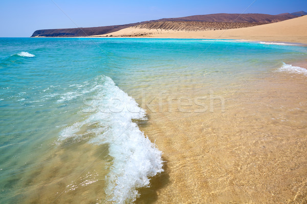 Jandia beach Risco el Paso Fuerteventura Stock photo © lunamarina