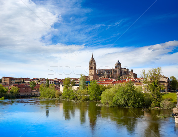 Salamanca skyline with Tormes river Spain Stock photo © lunamarina