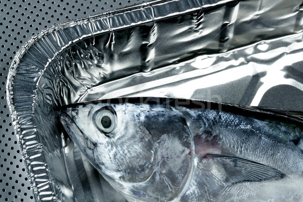 little tunny, tuna, alby, albacore, silver color. Stock photo © lunamarina