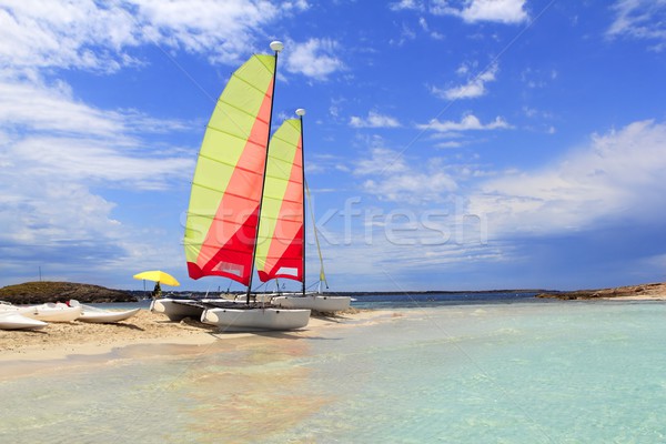 Gato catamarã praia blue sky mar mundo Foto stock © lunamarina