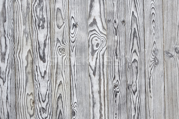 Kredy malowany biały sosny struktura drewna drzewo Zdjęcia stock © lunamarina