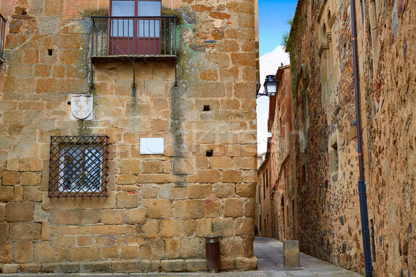 モニュメンタル 市 スペイン 建物 建設 芸術 ストックフォト © lunamarina