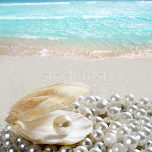 Caribbean pearl on shell white sand beach tropical Stock photo © lunamarina