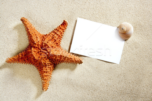 Foto stock: Papel · em · branco · areia · da · praia · starfish · conchas · verão · areia · branca