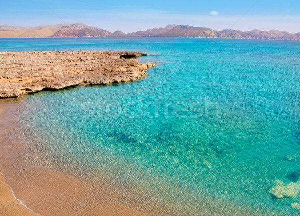 Alcudia in Mallorca la Victoria turquoise beach Stock photo © lunamarina