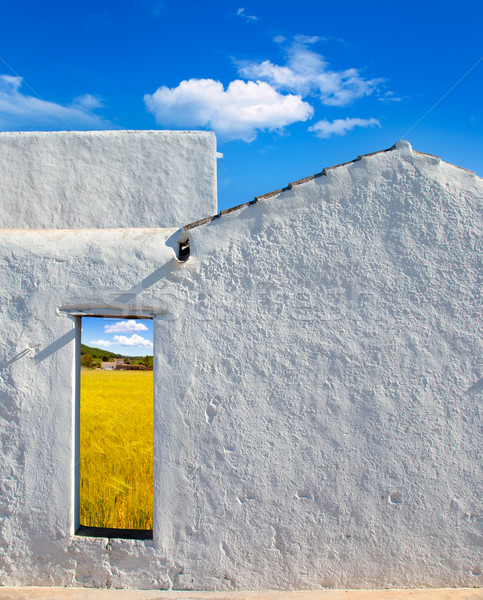 Stock photo: Balearic islands golden wheat field through door