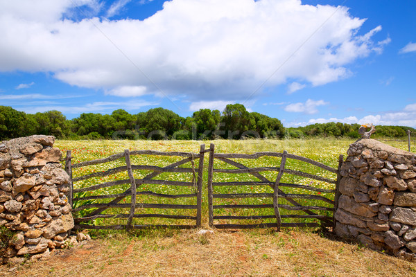 Menorca traditional wooden gate in spring at  Balearic Stock photo © lunamarina