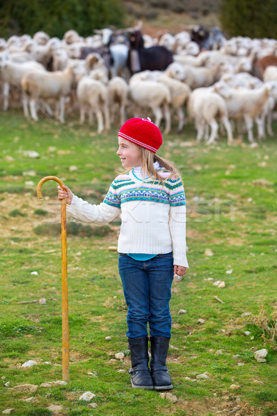 Kid girl shepherdess happy with flock of sheep and stick Stock photo © lunamarina